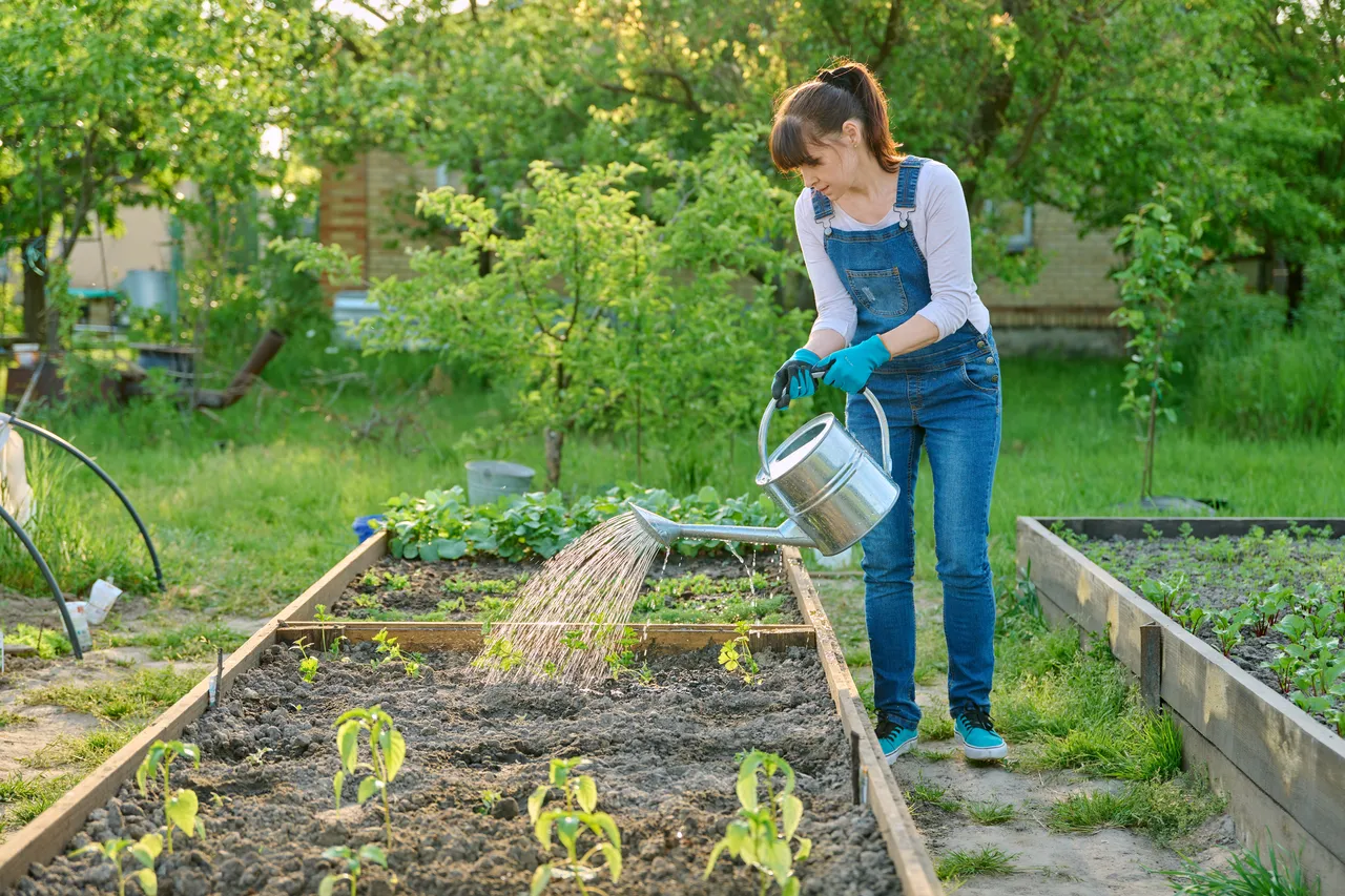 Optez pour un carré potager en bois pour une récolte abondante et saine